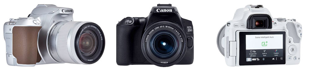 Canon EOS 250D - Gama de colores